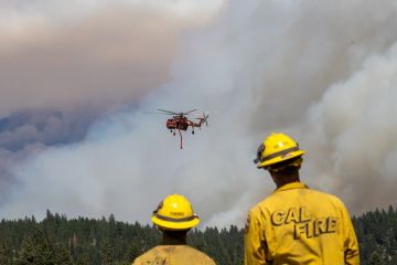 Studi ungkap kebakaran hutan di California hasilkan banyak emisi CO2e