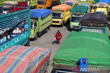 Aksi mogok sopir truk pengangkut sembako di Ternate
