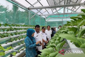 Sinar Mas Land kembangkan petani lokal lewat program kemitraan