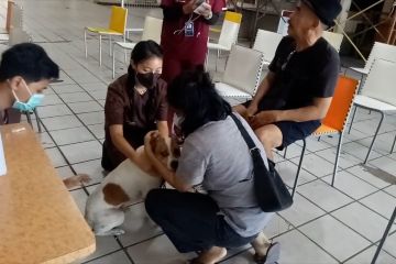 200 hewan peliharaan di Kota Tangerang telah divaksin rabies