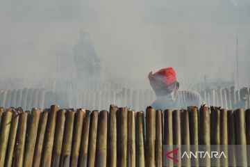 Warga Poso pecahkan rekor MURI kategori pembakaran 7.000 inuyu