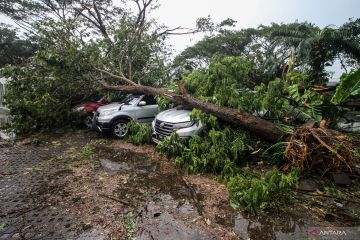 Dampak angin puting beliung di Sidoarjo