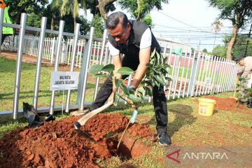 Pemkot Jaksel tanami ratusan pohon di Kizi Jihandak Lenteng Agung