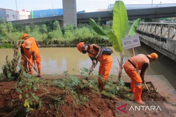 Pemkot Jaktim tanam 150 pohon di kolong Tol Becakayu