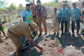 Manokwari fokus pengendalian harga bahan pokok dan penanaman pangan