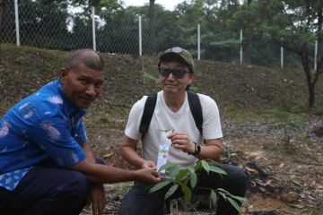 BP Batam dan pengusaha Jepang lakukan penyehatan daerah tangkapan air