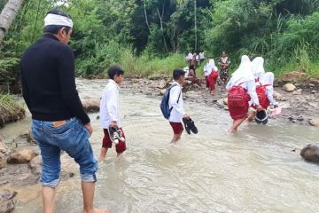 Anggota DPR bangun jembatan ringankan perjuangan anak SD ke sekolah