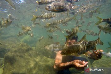 Wisata sungai di Padangpariaman