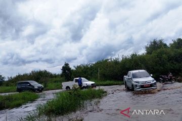 Pulang Pisau diberlakukan siaga darurat banjir di tiga kecamatan