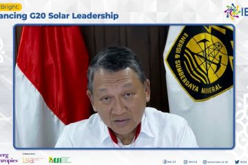 Punya potensi 3.600 GW, RI tak akan babat hutan untuk panel surya