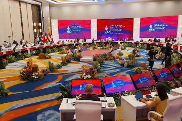 G20 tekankan pentingnya Kesehatan Terpadu atasi resistensi antimikroba