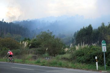 Petugas minta "wisatawan kebakaran" jauhi kawasan hutan Spanyol