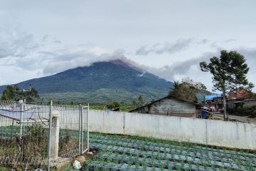 Waspada Gunung Kerinci, masyarakat Kayu Aro diwajibkan pakai masker