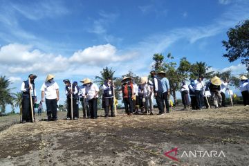 Kementerian PUPR dukung pengembangan sorgum di Lombok Tengah