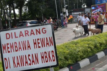 Dishub DKI kaji pengaturan bawa hewan peliharaan di HBKB