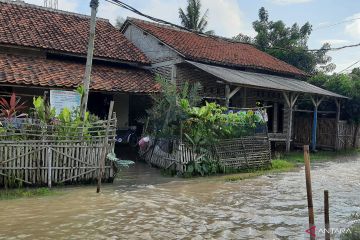 Pemukiman 220 keluarga di pesisir utara Tangerang terendam banjir rob