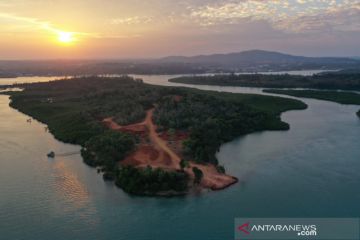 BRGM-UMRAH ajak Pemkab Bintan bentuk regulasi pengelolaan mangrove