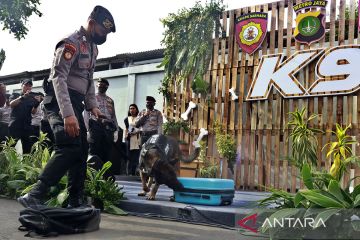 Aksi anjing pelacak K9 Polda Metro Jaya