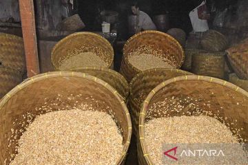 Harga kedelai impor kembali naik ancam industri tempe