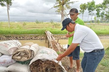 Kadin Jatim: Saatnya kedelai lokal bersaing dengan kedelai impor