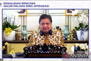 Airlangga: Transformasi digital dipercepat oleh Palapa Ring Integrasi