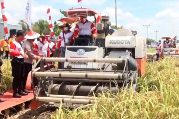 Menko Airlangga beberkan rencana pengembangan lumbung pangan