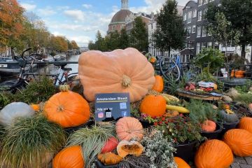 Taman labu di kota Amsterdam jadi daya tarik publik