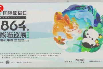 Ada pameran seribu patung panda raksaksa kertas di China