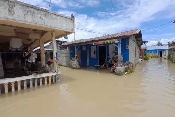 Banjir di 3 kelurahan, Wali Kota Palu temukan kerusakan pintu air