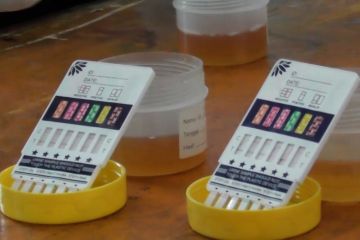 Cegah narkoba ,93 personel Polda Papua tes urine secara acak