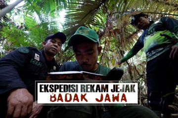 Ekspedisi rekam jejak Badak Jawa (2)