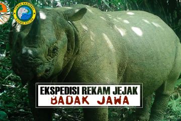 Ekspedisi jejak rekam Badak Jawa (3)