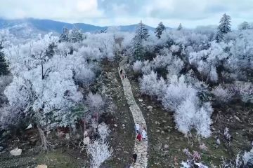 Indahnya pemandangan bersalju di China timur laut