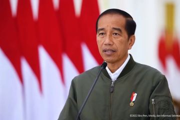 Jokowi kerahkan menteri dan lembaga usut tuntas tragedi Kanjuruhan