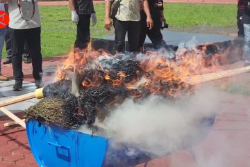 Polres Aceh Utara musnahkan barang bukti narkotika