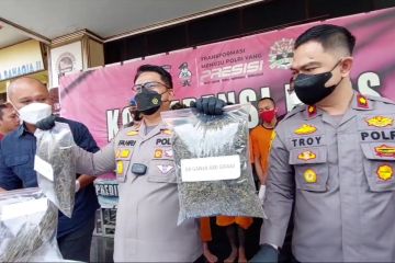 Polres Cirebon Kota tangkap 2 orang pengedar ganja