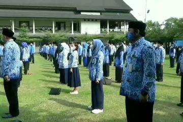 Pemprov Jambi siapkan kuota penerimaan PPPK 140 orang