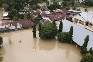 Sawah terendam banjir, Aceh minta bantuan bibit dan klaim asuransi