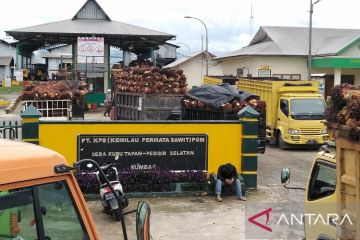 Pemkab Pesisir Selatan beri sanksi PT KPS karena tak patuh Amdal