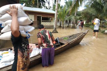 BPBD: Warga pedalaman Aceh Timur terisolasi akibat banjir