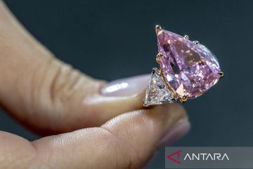 Kilau berlian Fortune Pink seharga 30 juta dolar AS