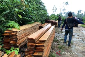 Polres periksa sejumlah saksi kasus pembalakan liar di Hutan Air Ikan