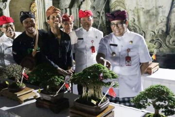 Bupati Tabanan buka Pameran Bonsai