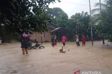 Banjir masih merendam sejumlah wilayah Aceh Timur, pengungsi 480 jiwa
