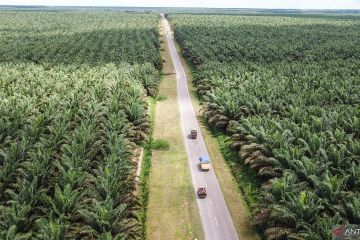 Kementan:  FPKM tingkatkan kesejahteraan masyarakat sekitar kebun