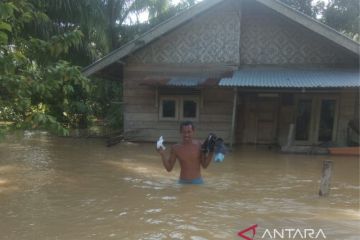 BPBA: Banjir masih rendam Aceh Timur, debit air diperkirakan bertambah
