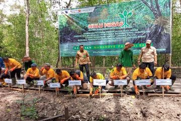 SKK Migas-PetroChina tanam ribuan mangrove di Pangkal Babu Tanjabbar