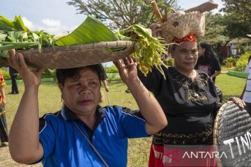 Karnaval Hasil Bumi di Festival Mosintuwu Poso