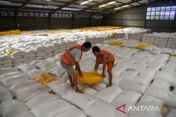 Stok beras di Gudang Bulog