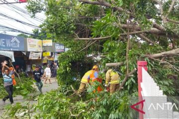 Gulkarmat Jaktim evakuasi pohon tumbang tutup akses Jalan Raya Bogor